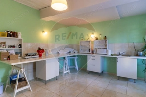 Vila multifunctionala de vanzare, Soseaua Slaj - imagine 2