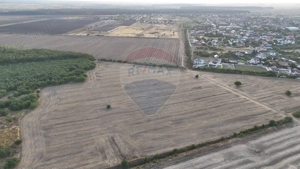Teren investitie, intravilan Tamasi / Buftea - imagine 4