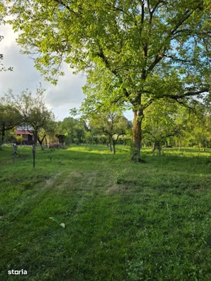 Teren 2500 mp   Potential BUSINESS   DEZVOLTARE   Breaza - imagine 4