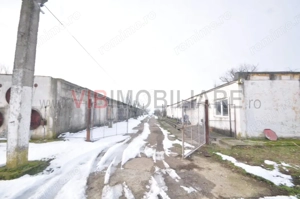 Ferma avicola inchiriere sau vanzare, localitatea Calacea - imagine 3