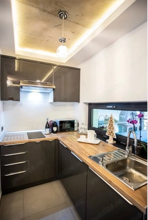 Cabana Mogosa Suior - Baia Sprie - Maramures - imagine 3