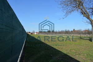 Teren 3500 mp împrejmuit, central, Biharia, lângă Profi, utilități - imagine 9