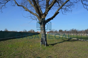 Teren 3500 mp împrejmuit, central, Biharia, lângă Profi, utilități - imagine 6