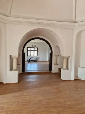 Ocazie unica !!! CONAC  boieresc superb in inima Oltenie 98000 mp. - imagine 7