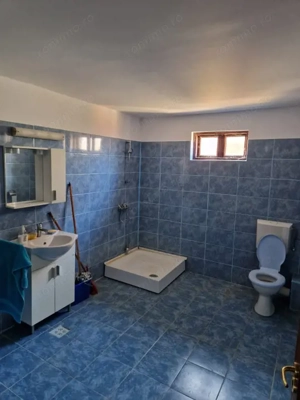 Ocazie unica !!! CONAC  boieresc superb in inima Oltenie 98000 mp. - imagine 16