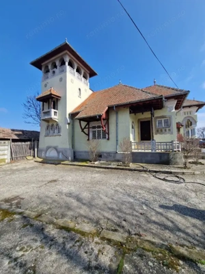 Ocazie unica !!! CONAC  boieresc superb in inima Oltenie 98000 mp. - imagine 2