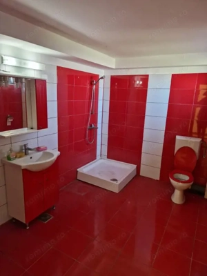 Ocazie unica !!! CONAC  boieresc superb in inima Oltenie 98000 mp. - imagine 15