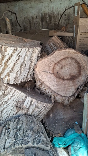 Lemne de nuc pentru obiecte artizanale sau lemne de foc
