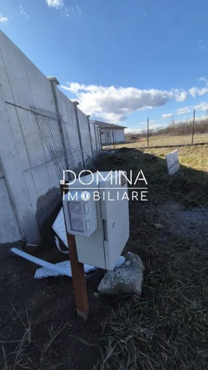 Vânzare teren intravilan împrejmuit - zonă liniștită, Drăguțești - imagine 7