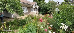 Vind 8200mp teren intravilan com.Albesti , jud Vaslui - imagine 4