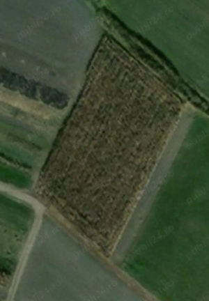 Teren intravilan în localitatea Chichis - imagine 2