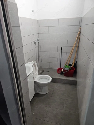 Hala lux detailing  auto 595 mp  Domnesti - imagine 10