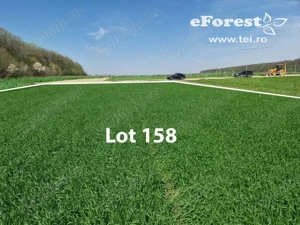Profită acum de oferta de Paște! Teren aproape de natură și București, acces din DN1A, eForest - imagine 4