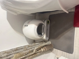 Motan British Shorthair Blue - imagine 3