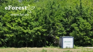 Profită acum de oferta de Paște! Teren aproape de natură și București, acces din DN1A, eForest - imagine 3