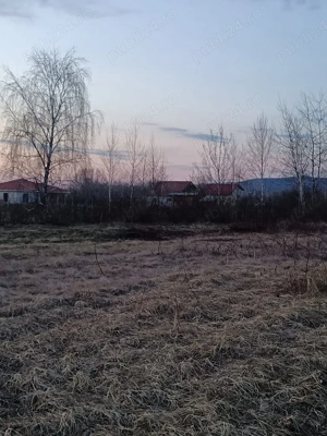 Teren de vanzare Merisor