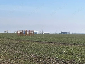 Teren intravilan, 5000 mp, zona Peugeot