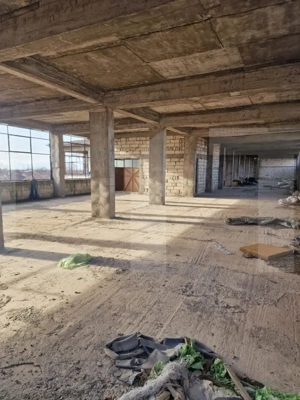 Oportunitate rară de investiție: clădire industrială cu teren generos, Freidorf - imagine 2