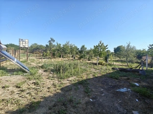 Vând casă la 35 km de Timisoara  - imagine 9