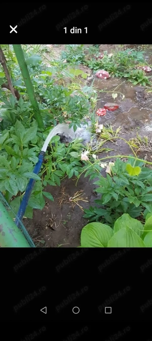 Foraje puțuri apă denisipări Brăila ,Brașov,Ploiesti,Brăila,dambovita