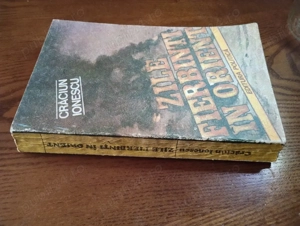 13. Carte, Zile fierbinți în Orient, Craciun Ionescu  - imagine 3