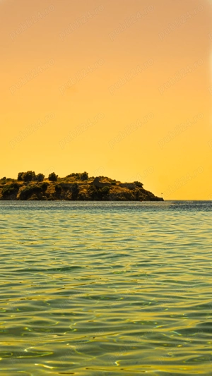 Angajări șofer profesionist cu experiență 