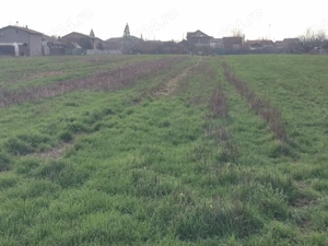 Clinceni - loturi de vanzare