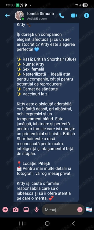 Pisicuta superba - imagine 3