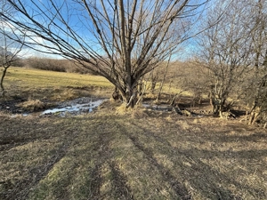 Teren intravilan 500 mp sau 1000 mp în Zarnesti   Tohanita cu parau izvor pe o latura