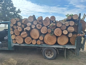 Lemn de foc ,transport gratuit