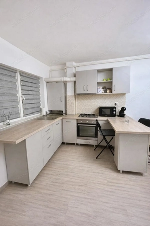 Apartament 2 camere de vânzare   Drumul Gura Făgetului - imagine 3
