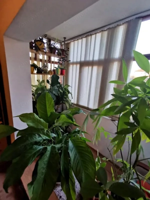 Dambovita - Ap 3 cam - Etaj 2 - Su:64 - Anvelopat - imagine 6