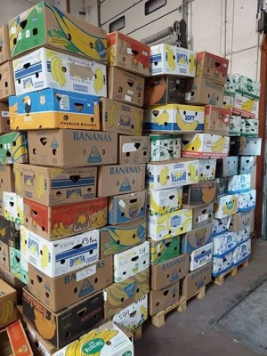 Baxuri banane NOI, cutii banane, baxe banane, 100 buc, 5 lei buc, tel. O75I 55 I I 49