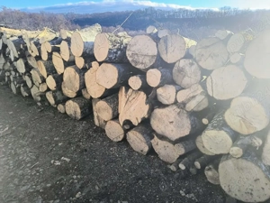 vand lemne de foc esenta tare transport la domiciliu - imagine 4