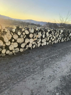 vand lemne de foc esenta tare transport la domiciliu