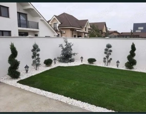 Amenajări Grădini și Întreținere Curți   Servicii Complete