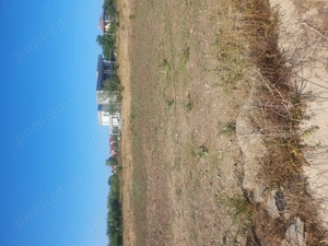 Teren intravilan  60000euro