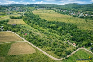 FILM! Confortabila ariere, 4.500 mp, arbori roditori, Sancraiu,Covasna