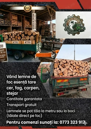 vând lemne de foc esență tare cer,fag,carpen,stejar cantitate garantata  transport gratuit  lemnele 