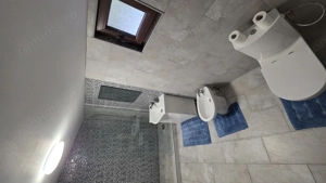 Casă P+1 golful Mraconia cu vedere la apă, 2 km de Chipul lui Decebal  - imagine 7