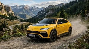 Șofer Personal   Experiență 10 ani | Seriozitate și Discreție