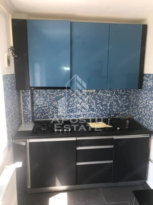 Apartament 1 camera de inchiriat, zona Complexul Studentesc, Timisoara - imagine 4