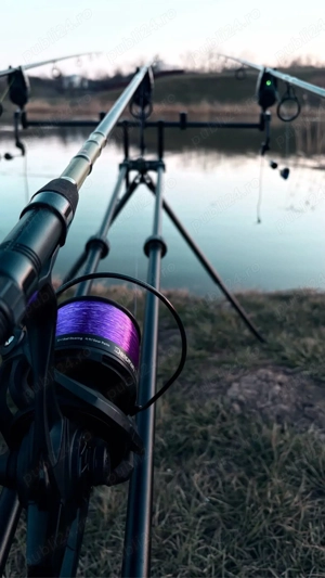 lansete crap impecabile 