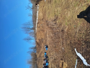 Teren de vanzare .2000 m.