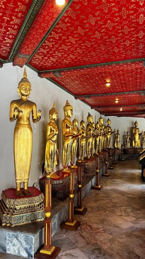 Engleza, 49ron  Muncii, M Bravu