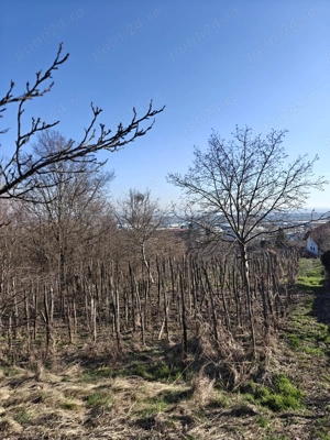 Teren 2300 mp   zonă liniștită, priveliște   ideal pentru cabane - imagine 4