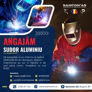 inginer electician  - imagine 3