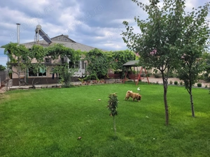 Vanzare casa si teren pentru locuit si relaxare - imagine 5