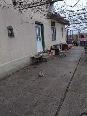 Vind case  in bulgarus