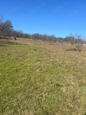 Teren de Vânzare  - imagine 4